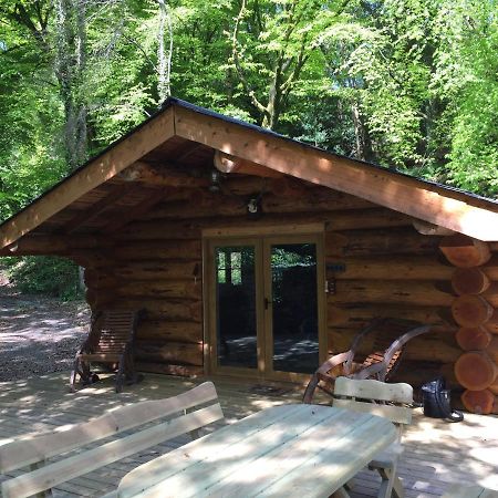 Hesperus Lodge Wellington (Somerset) Exterior foto